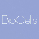 biocells.com.ar