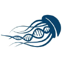 BioLoomics