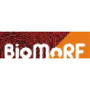 biomorf.com