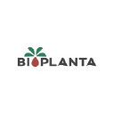 bioplantapalmera.com