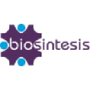 biosintesis.com.br