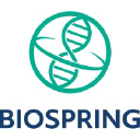 BioSpring GMBH