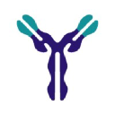 biotem-antibody.com