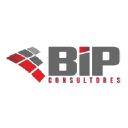 bipconsultores.com