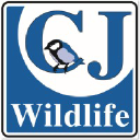 CJ WildBird Foods