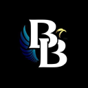 Logo for birdiebundle.com