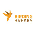 birdingbreaks.nl