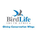 birdlife.org.za