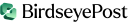 BirdseyePost logo