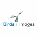 birdsiimages.com