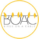 birdsonacable.com