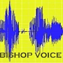 bishopvoice.com