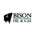 Bison Oil & Gas Partners LLC