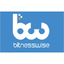 bitnesswise.com