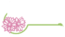 Bitterroot Flower Shop