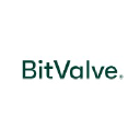bitvalve.com