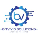 bitvividsolutions.com