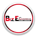Biz E-Commerce Consultant