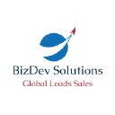 bizdev-solutions.fr