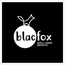 blacfox.com