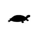 black-turtle.com
