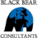 blackbearconsultants.com