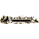 blackbearcreekantiques.com