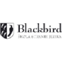 blackbird.co.rs