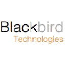 blackbirdai.com