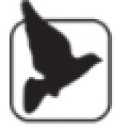 Blackbird Corporate Ltd