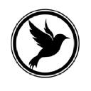 blackbirddigital.co.uk