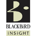blackbirdinsight.com