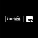 blackbirdinvestimentos.com.br