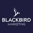 blackbirdmarketing.co.uk