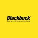 Black Buck Designs