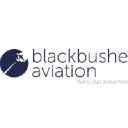 blackbusheaviation.com