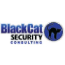 blackcat-security.com