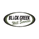 blackcreekwellservices.com