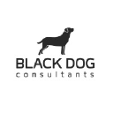 blackdog-consultants.com