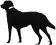 blackdog.lu