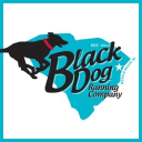 Black Dog Running Company