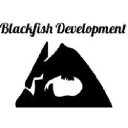 blackfishdev.com