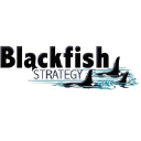 blackfishstrategy.com