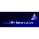 Blackfly Interactive