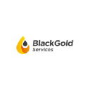 blackgoldservices.com