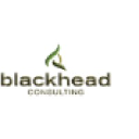 blackhead.co.za