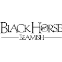 blackhorsebeamish.co.uk