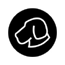 blackhoundoptics.com