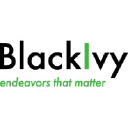 blackivygroup.com