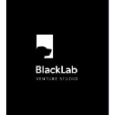 blacklabvc.com